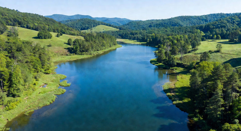 Georgia Water Quality Report (2026)