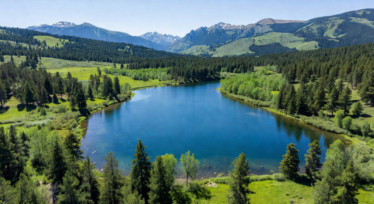 Idaho Water Quality Report (2026)