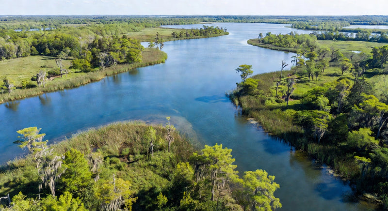 Louisiana Water Quality Report (2026)