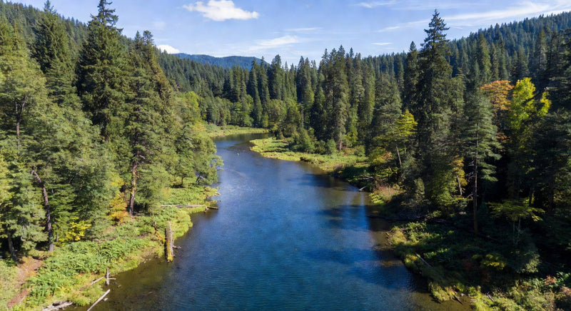 Oregon Water Quality Report (2026)