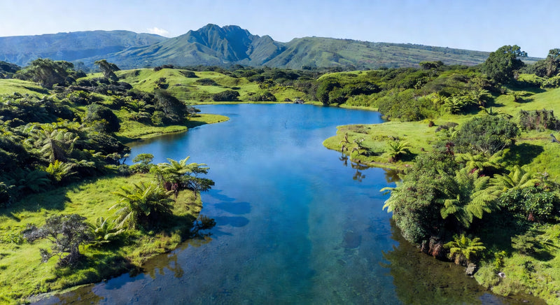 Hawaii Water Quality Report (2026)